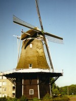 ommenkonijnenbelt.jpg
