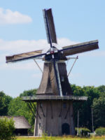 763_01.jpg