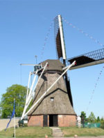 768d.jpg