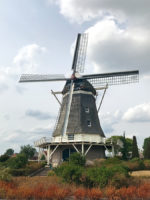782_1.jpg