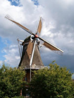 784_1.jpg