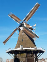 798_1.jpg