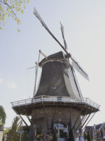 822DeWijheseMolen-2.jpg